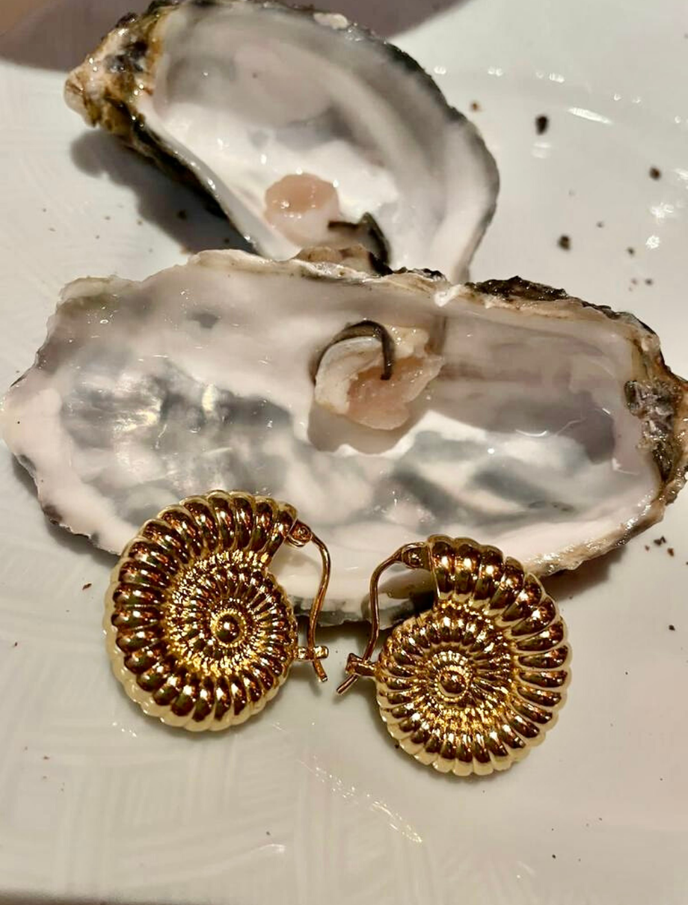HARP SHELLS EARRINGS GOLD