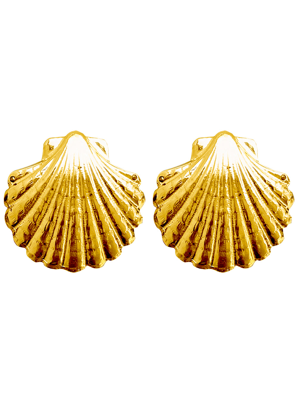 B.O COCKLE