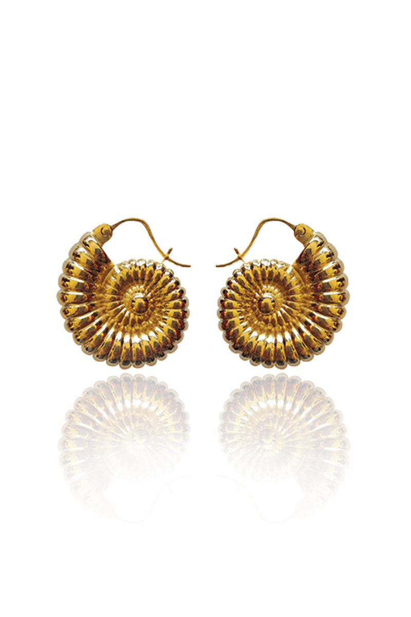 HARP SHELLS EARRINGS GOLD